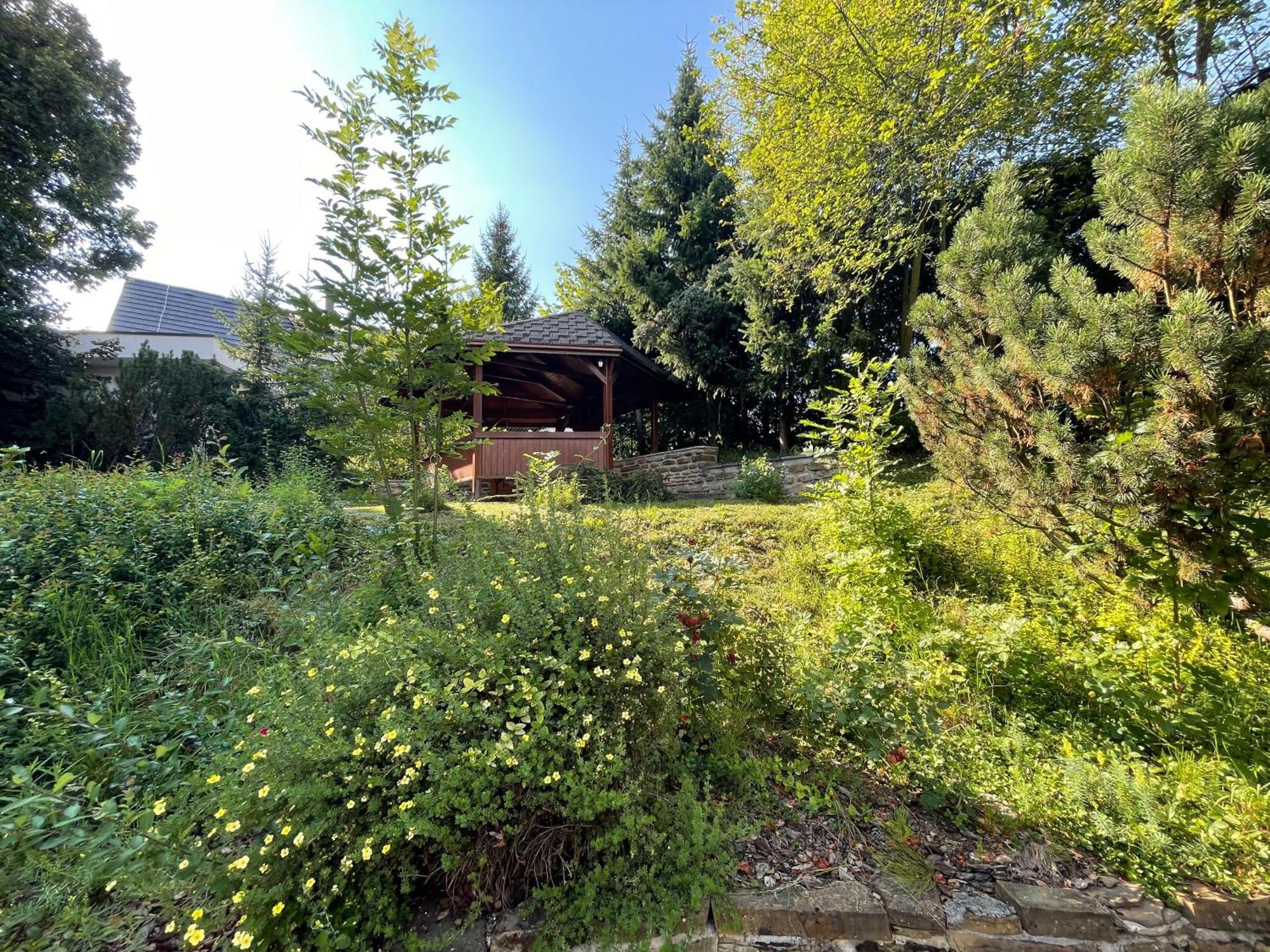 Infinita Bodice Villa Liptovský Mikuláš Exteriör bild